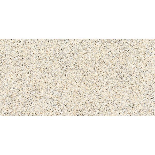 花崗巖（B12621P ）