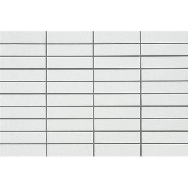 戶外磚（BRT69W001 ）