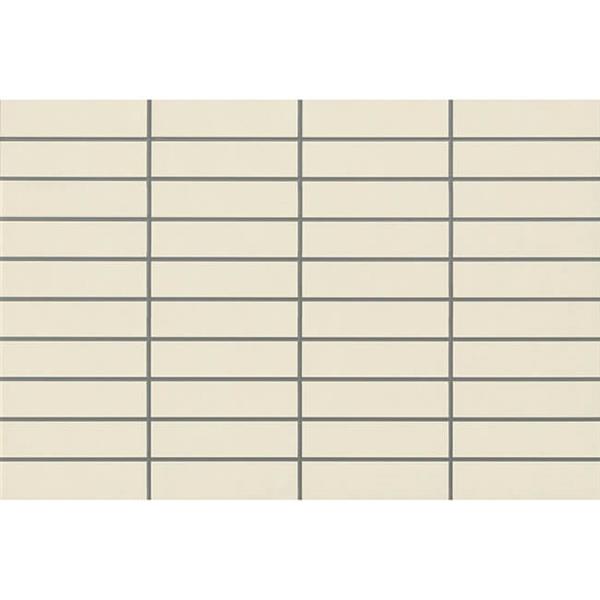 戶外磚（BRT69W002 ）