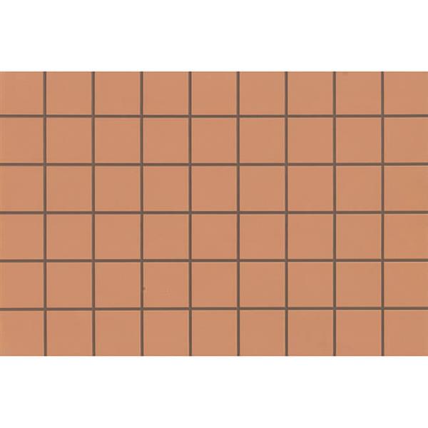 戶外磚（BRT69W009 ）