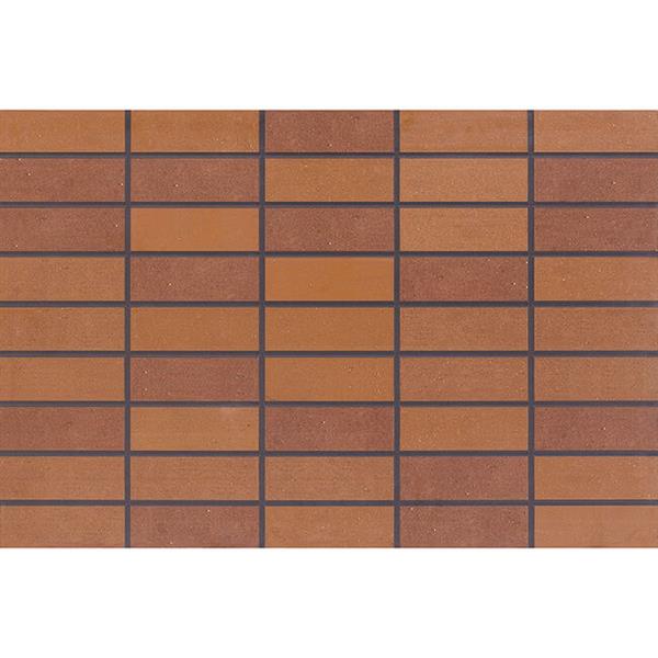 戶外磚（BRT69W010 ）